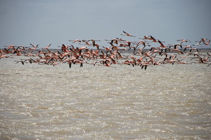 7 Days 6 Nights Alta Guajira Photographic Route Tour with Pick up - Photo 1 of 7
