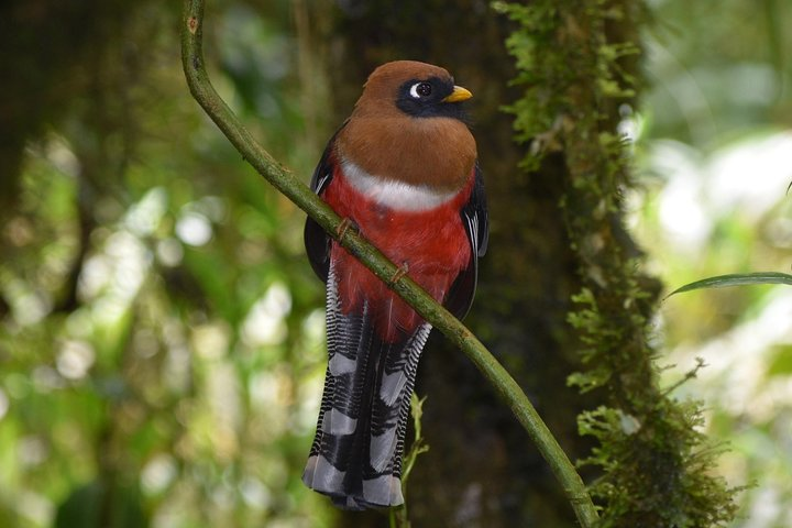 Acaime Reserve - Photo 1 of 17