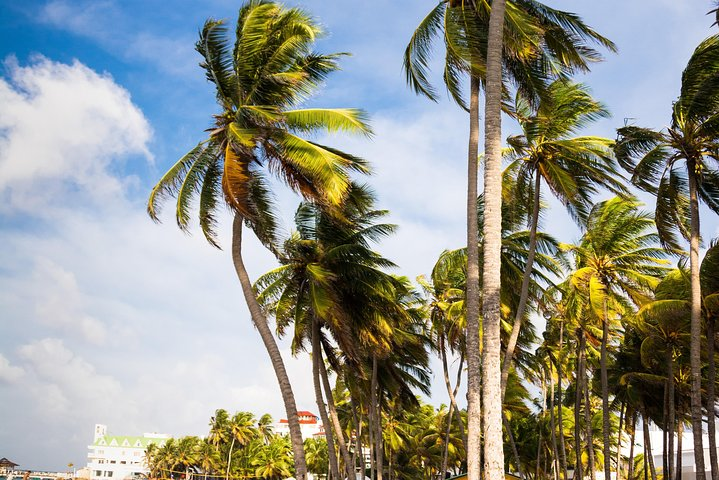 Arrival Transfer : From Airport to San Andres Island Hotels  - Photo 1 of 6