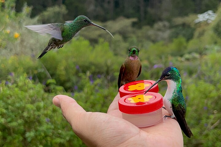 Coffee plantation tour Medellin - Photo 1 of 15