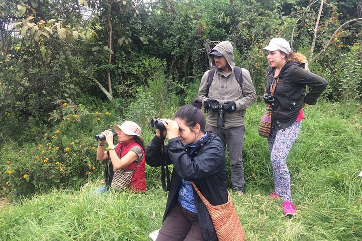 Birdwatching Private Tour at Chicaque Natural Park with Lunch - Photo 1 of 11