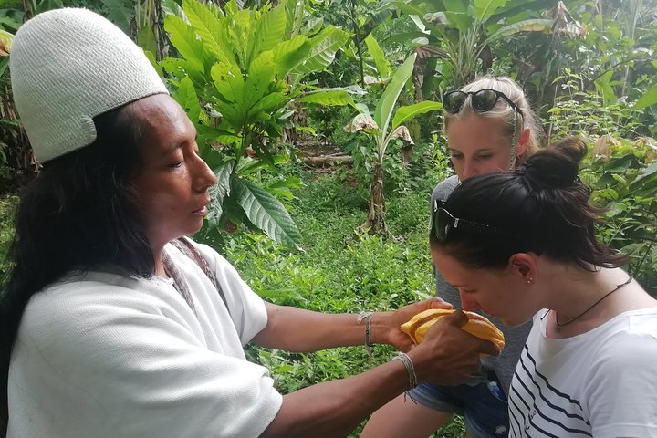 Private Santa Marta City & Food Tour - Photo 1 of 14