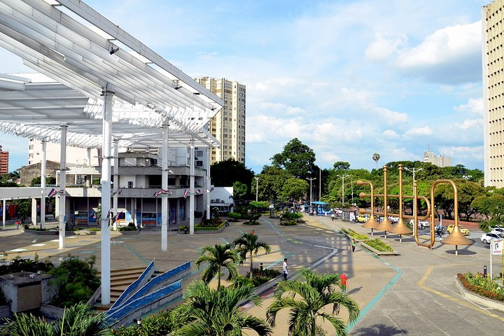 Cali Discovery - Photo 1 of 7