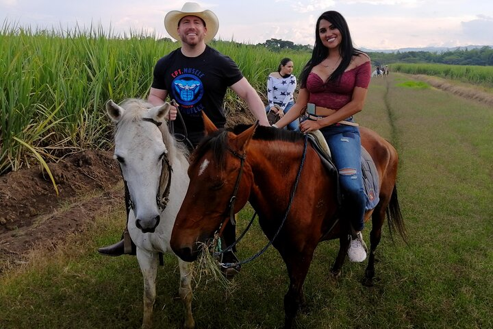 Cabalgatas - Horseback riding / Cali - Colombia