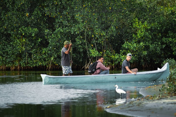 Explore La Boquilla’s Mangrove Tunnels with Local Fishermen - Photo 1 of 12