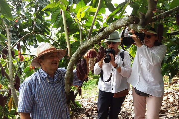 Chocolate Tour and tropical Fruits - Photo 1 of 25
