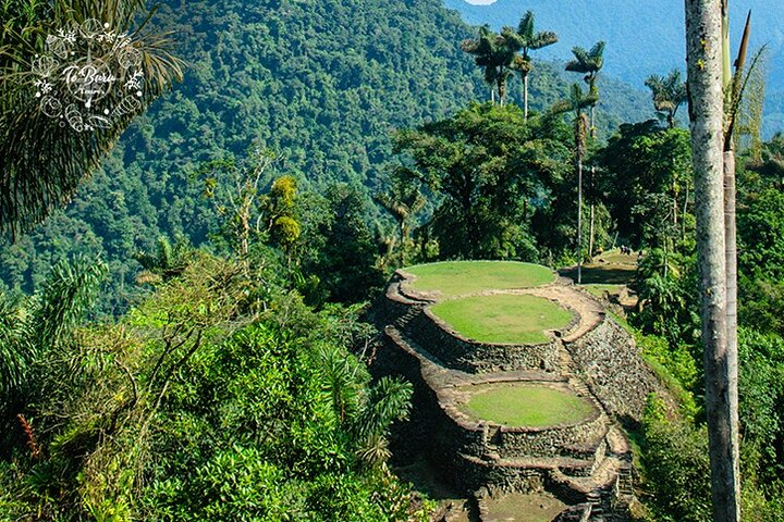 Ciudad Perdida "Teyuna" 4 Days Tracking Tour - Photo 1 of 11