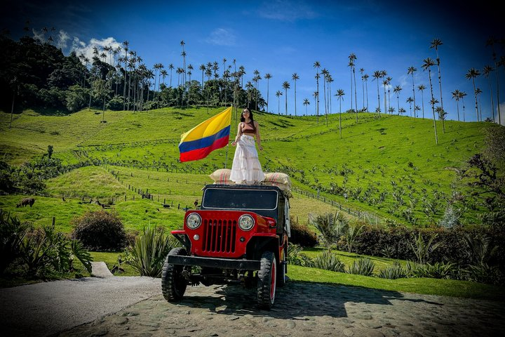 Cocora Valley, Salento & Filandia Private Full-Day Tour - Photo 1 of 25