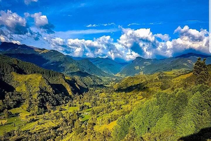 Cocora, Salento and Filandia (The daughter of the Andes) Walking Tour in Quindio - Photo 1 of 19