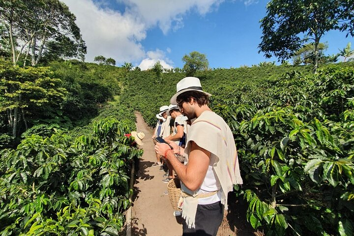 Cocora Valley Tour and Coffee Farms - Photo 1 of 12