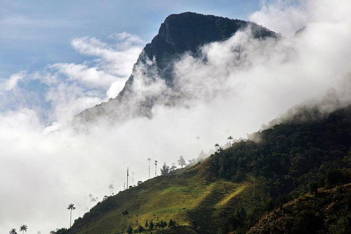 Tour hill Morrogacho Cocora Valley - Photo 1 of 8