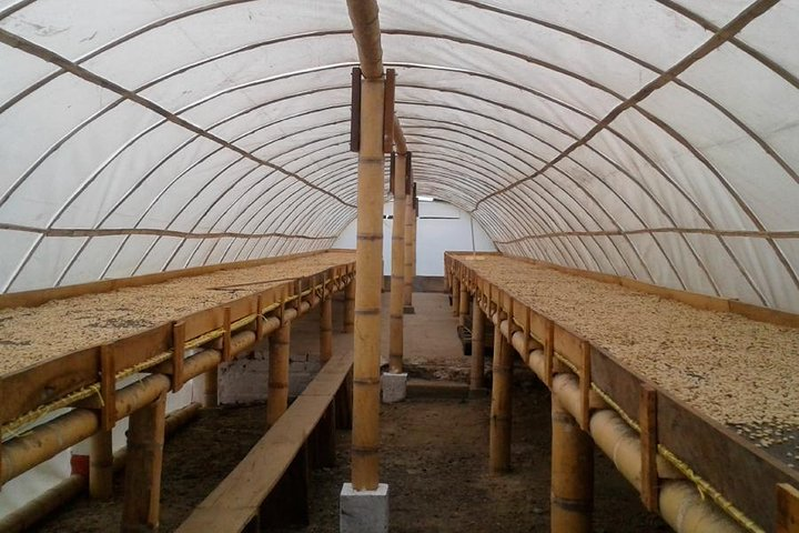 Coffee & Banana - Photo 1 of 18