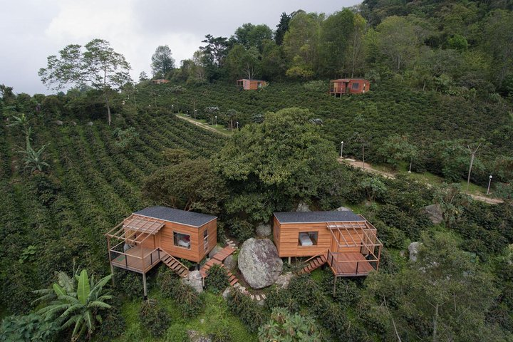 Coffee Experience at La Palma & El Tucan - Photo 1 of 6