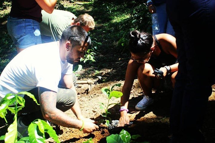 Coffee Experience - Finca in Fredonia - Photo 1 of 5