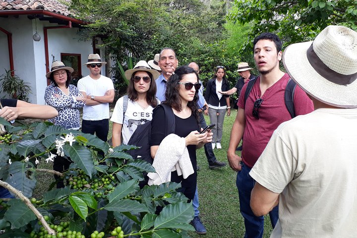 Coffee & flowers: Coffee Experience in Bogotá, Colombia - Photo 1 of 9