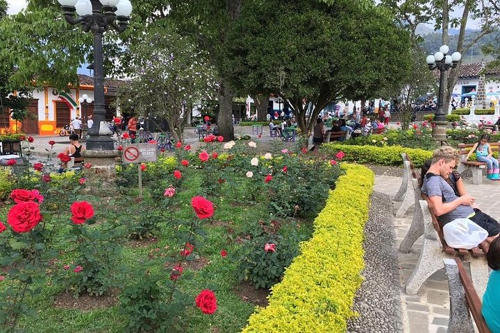 Coffee Plantation in Jardin and City sightseeing Tour - Photo 1 of 25