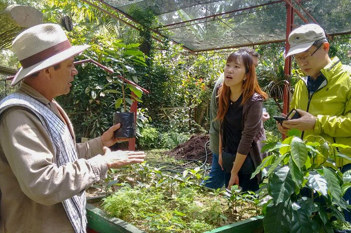 Coffee Plantation Tour From Bogota - Photo 1 of 9