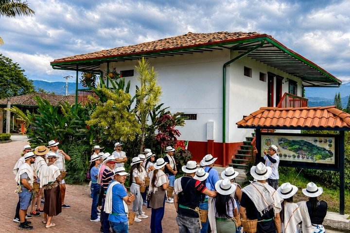 Coffee Tour at the Finca del Café - Photo 1 of 25