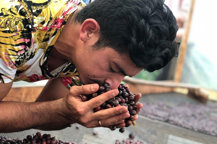 Coffee Tour Finca Jaguar - Photo 1 of 25