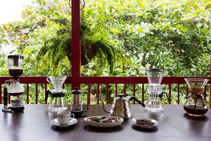 Coffee tour in the heart of the coffee region - Photo 1 of 9