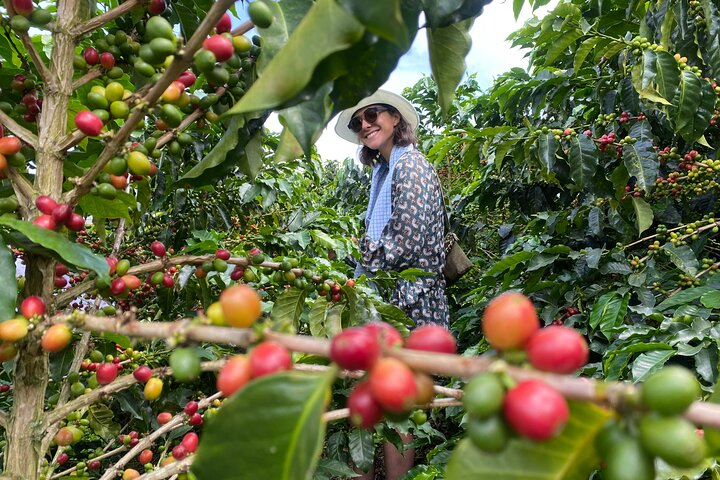 Coffee Farm & Santa Rosa Hot Springs Experience - Photo 1 of 19