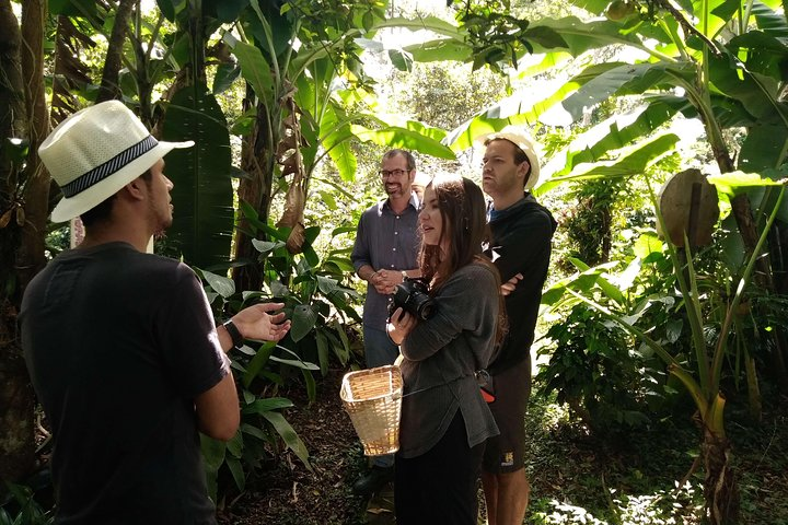 Colombia Coffee Tour + Coloma Ranch - Photo 1 of 6