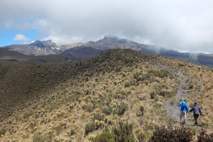 Discover Frailejones in Los Nevados National Natural Park (2 days) - Photo 1 of 6
