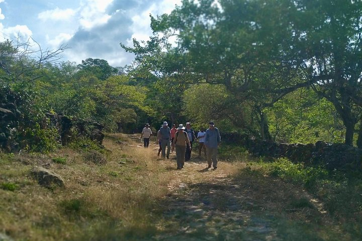 Eco Hike: The Royal Road: Jordan - Los Santos - Photo 1 of 5