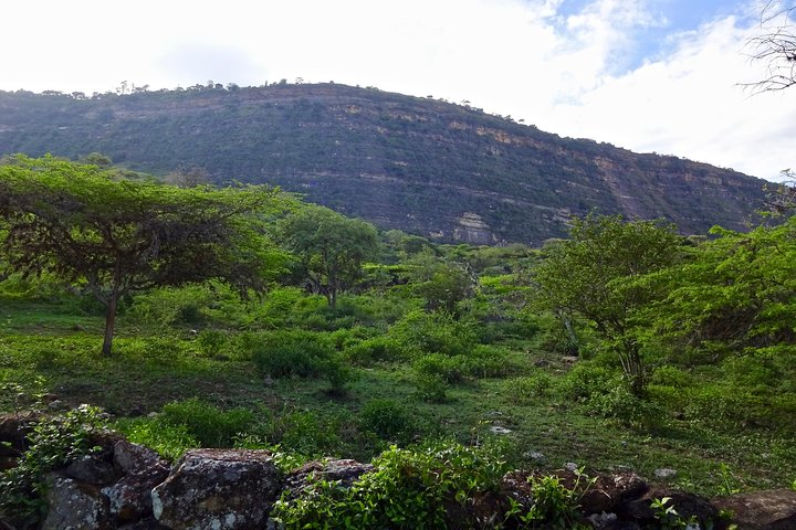 Eco Walk: The Royal Road To Cabrera - Photo 1 of 15