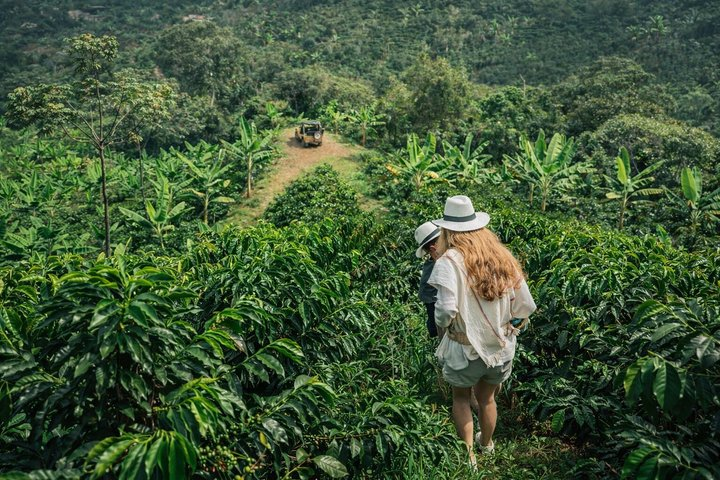 Private Tour to Jardín Town, Waterfalls, Coffee & Culture! - Photo 1 of 21