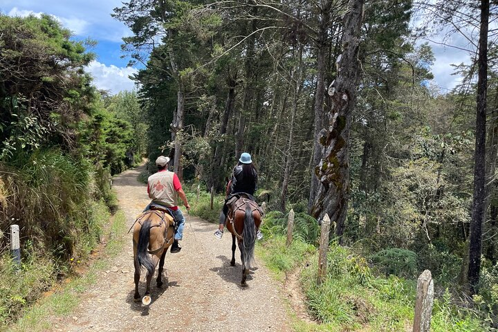 Horseback riding around Medellín