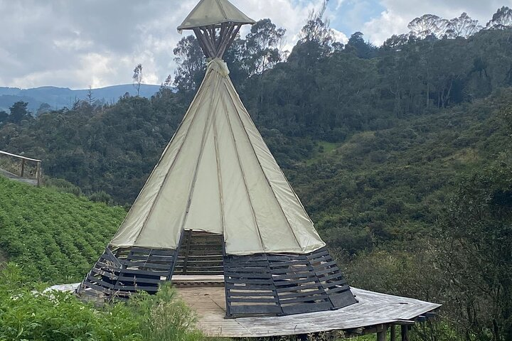Coffee Tasting and Coffee Experience from Bogota All Inclusive  - Photo 1 of 6