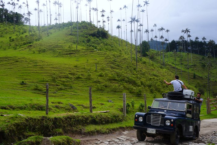 Full Day Tour of Cocora Valley, Salento, and Filandia Coffee Town (from Salento) - Photo 1 of 6