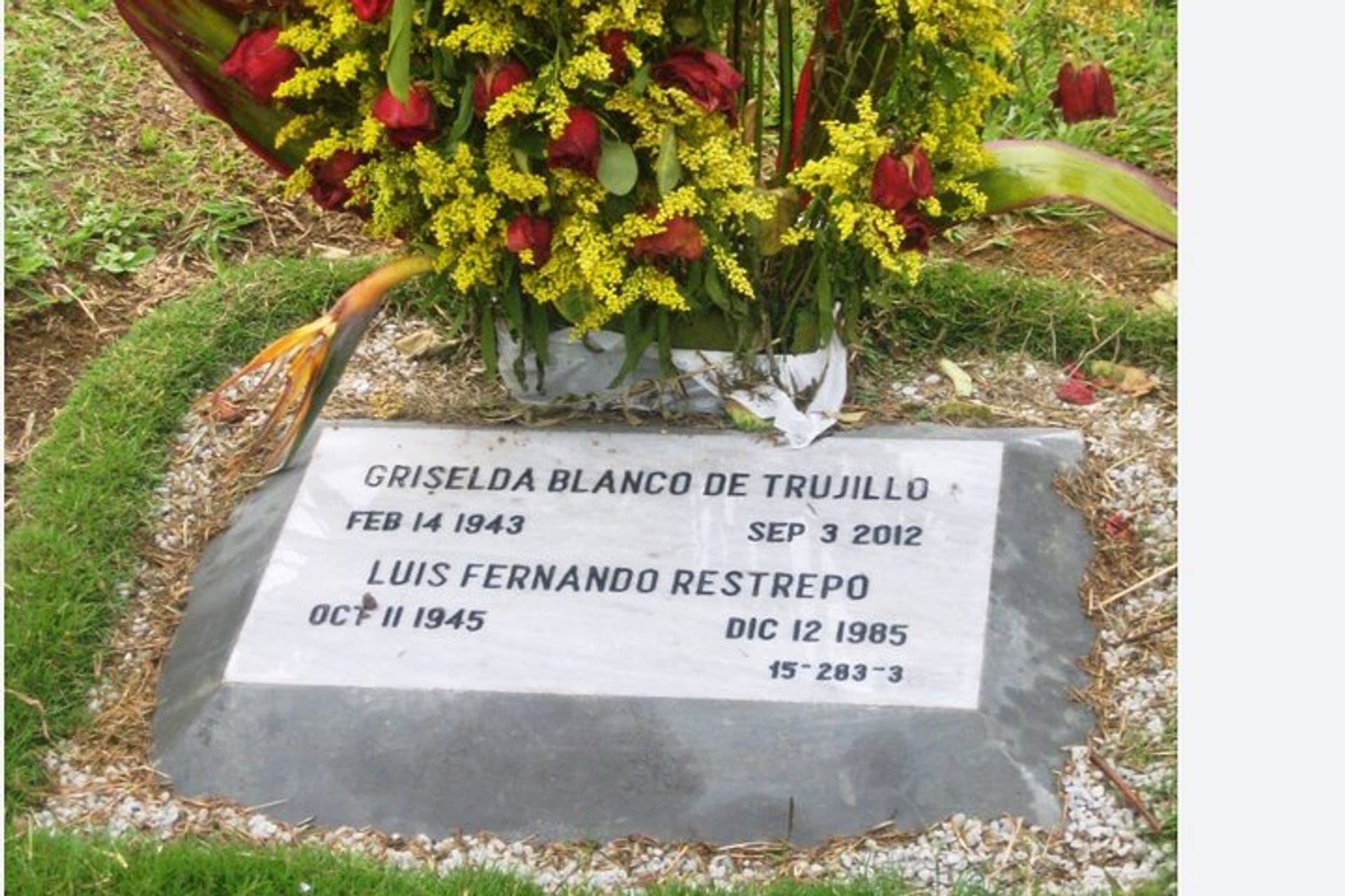 Griselda blanco tour medellin in Medellin | Pelago, image size:1920x1280