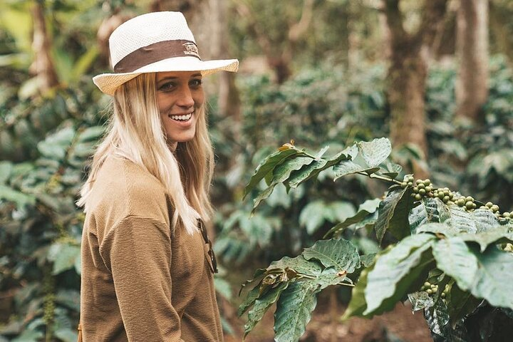 Half Day Coffee Experience with Transportation - Photo 1 of 12