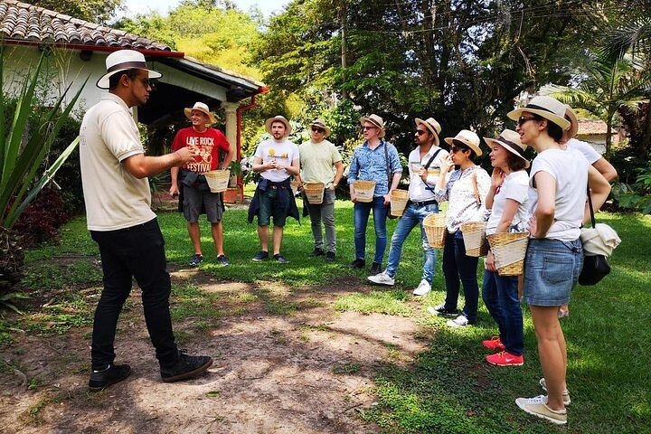 Hands-On Tour to Coffee Plantation from Bogota Option basic  - Photo 1 of 10