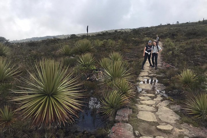 Hiking in the Paramo. Off-beaten track and close to Bogotá - Photo 1 of 11