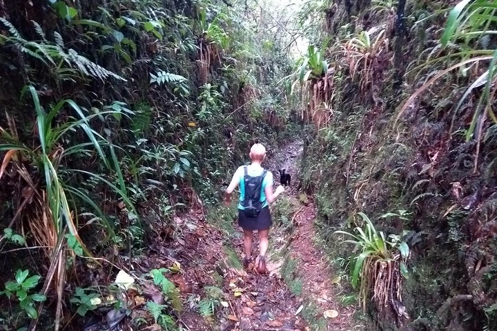 Hiking Mountains and Magical Forests - Photo 1 of 3