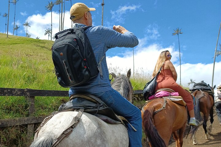 Horseback riding coffee farms, forest and river boquerón - Photo 1 of 6