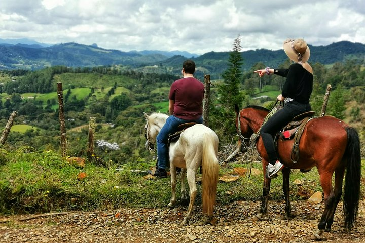 Horseback Riding in Medellin Private Tour: Great Views & Horses  - Photo 1 of 6