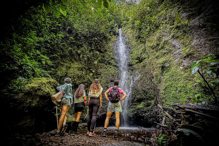 Howler Monkey Experience: Nature, Filandia & Local Flavors - Photo 1 of 25