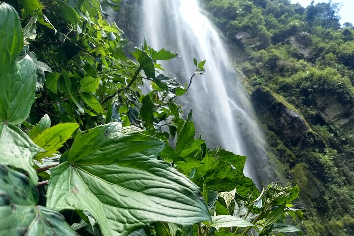 La Chorrera Cloud Forest & Waterfall Hike - Photo 1 of 14