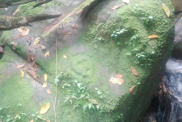 Carved stone and very close to it is the Tayrona cemetery, very different from what you should imagine.
