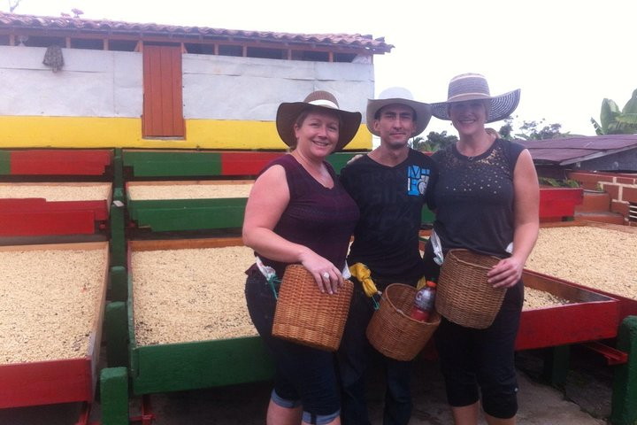 Authentic Colombian Coffee Farm