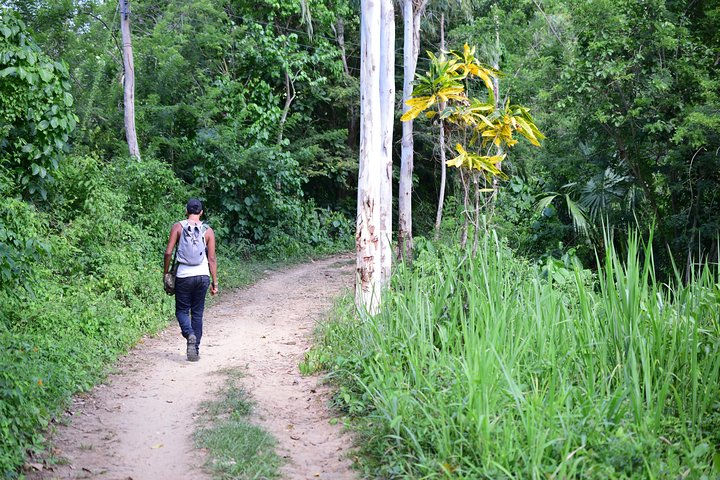 walking along the high trumpet path.