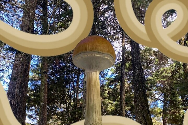 Discovering enchantment in the Santa Elena mountains.