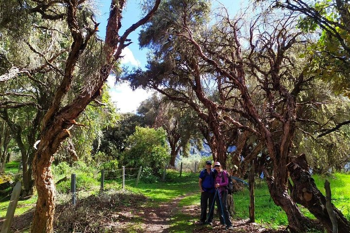 Otún basin crossing 3 days 2 nights - Photo 1 of 16