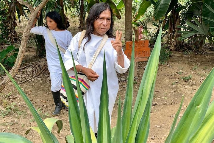 Palomino and Ceviaka Village Tour - Photo 1 of 6