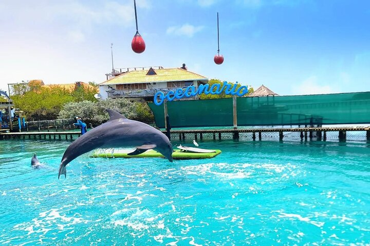 4 Rosario Islands Adventure with entrance to the oceanarium included - Photo 1 of 11