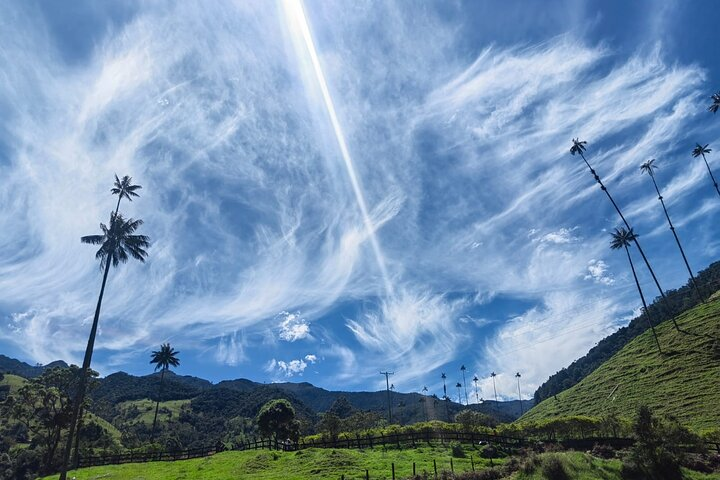 Private Full Day Tour Cocora Salento and Filandia - Photo 1 of 7